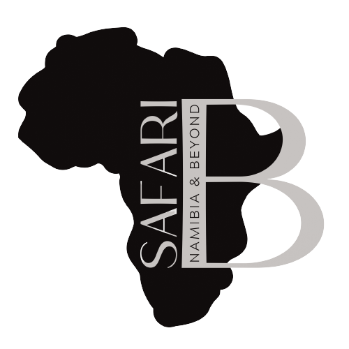 Safari B – Namibia & Beyond