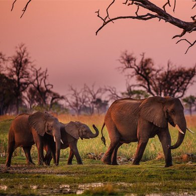 Botswana – Our ride, your destination